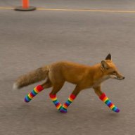 FemBoiFox