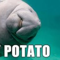 FloatingSeaPotato