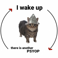illiteratenerd