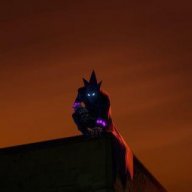 nocere