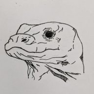 Komodo!