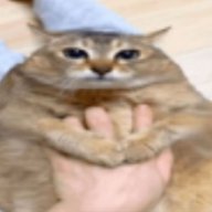 arvhive