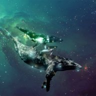 SpaceWhale