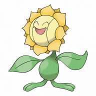 sun_facing_sunflower