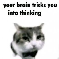 SirShotty