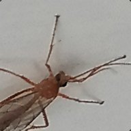 DDConcrete