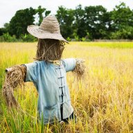 Wicker Guide
