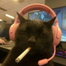 kowak