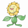 sun_facing_sunflower