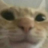 Sir_Gray_sweater