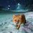 ScarletFox