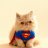 OnAHiatus