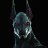 Jackal13Antern