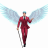 Dragonmanb