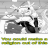 Lewd_Dragon