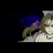 Daveofthevoid