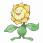 sun_facing_sunflower