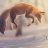 ZTheWanderingFox