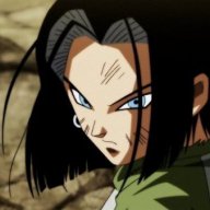 Trials Of Metal And Flesh (Dragon Ball Super/Goddess of Victory NIKKE)