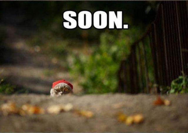 soon_meme_collection_640_14.jpg