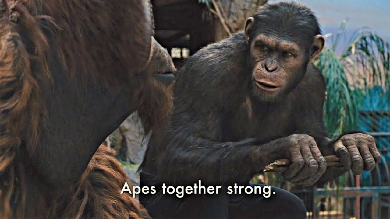 Ape-together-strong-meme-1.jpg