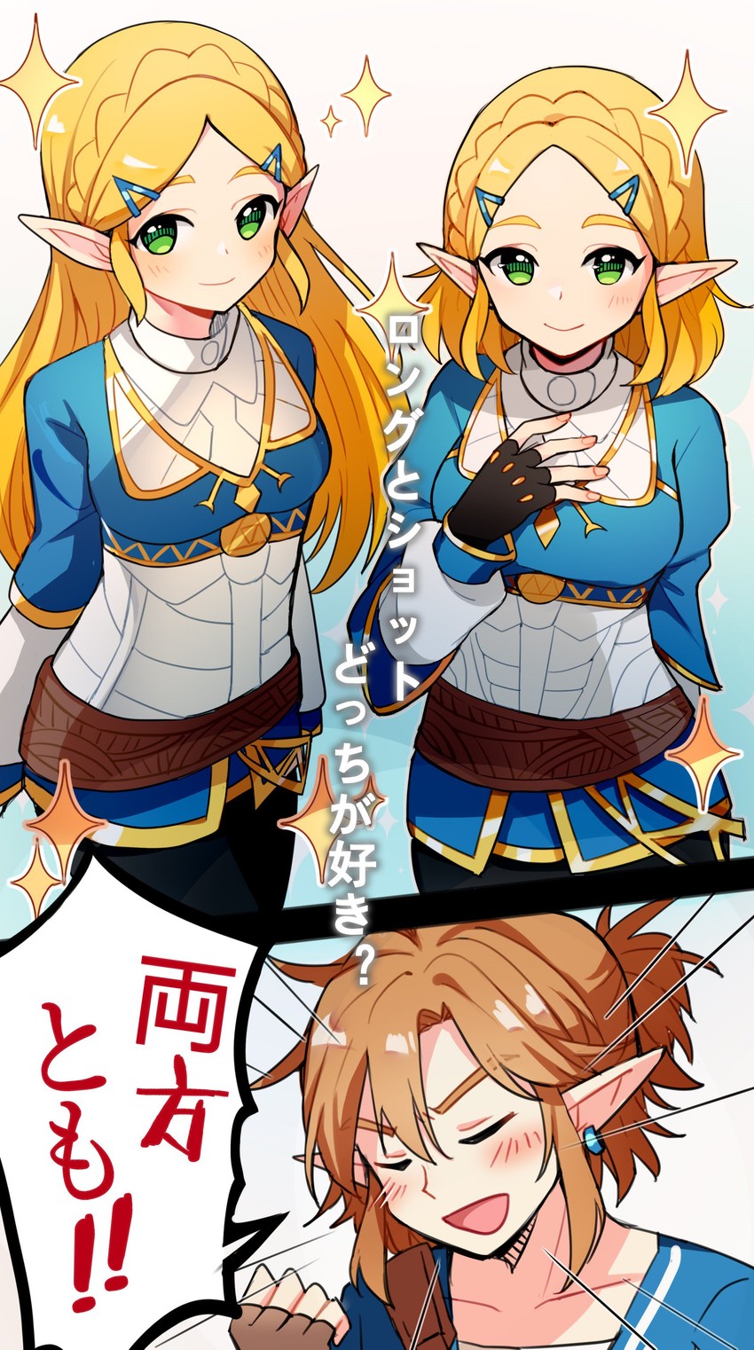 __link_and_princess_zelda_the_legend_of_zelda_breath_of_the_wild_2_and_etc_drawn_by_fenghu_huli__sample-d68d76cf4e127c74846763ff7ed468de.jpg