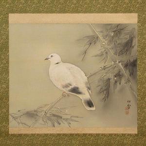 Hashimoto_Kansetsu-No_Series-A_Dove_Up_In_The_Branches-00043444-111204-F06.jpg